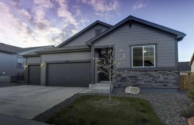 7393 Greenwater Circle - 7393 Greenwater Circle, Castle Rock, CO 80108