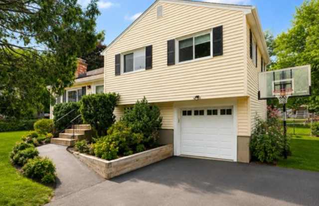 51 White Terrace photos photos