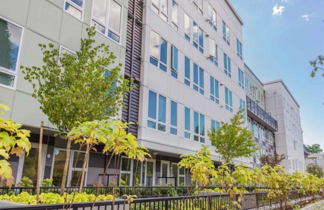Edition Apartments Gallery 2
