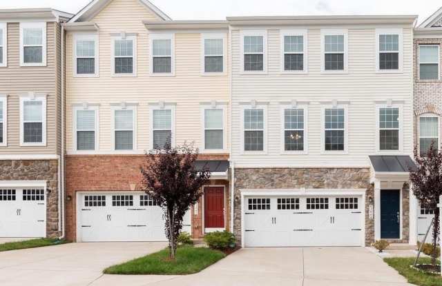 43444 SWEET BRANDY Terrace photos photos