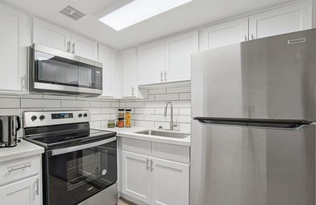 Aster on University photos photos