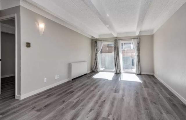 1265 Race St - 1265 Race Street, Denver, CO 80206
