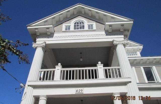 429 mistletoe Gallery 2