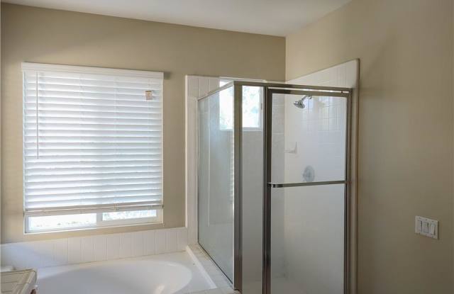 47 Straw Flower photos photos 47 Straw Flower photos photos