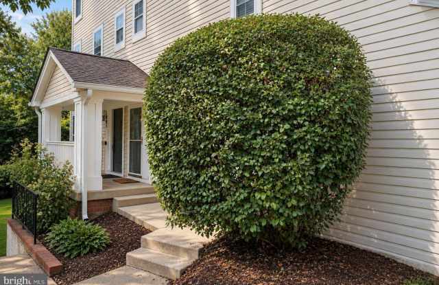1005 HILLSIDE LAKE Terrace Gallery 2