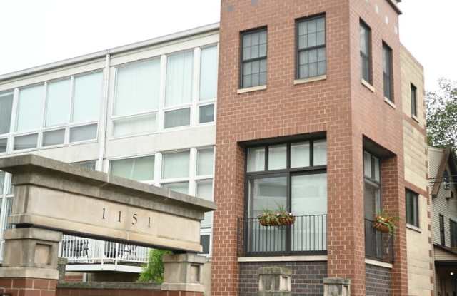 1151 West Eddy Street - 1151 West Eddy Street, Chicago, IL 60657
