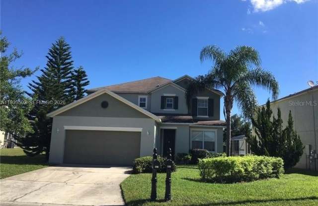 154 Canna photos photos