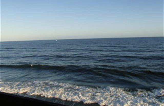 Ocean Front! Every day is a great day at the beach!! Gallery 4