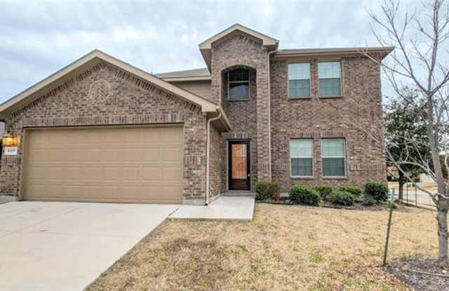 4317 Coney Island - 4317 Coney Island Drive, Hackberry, TX 75036