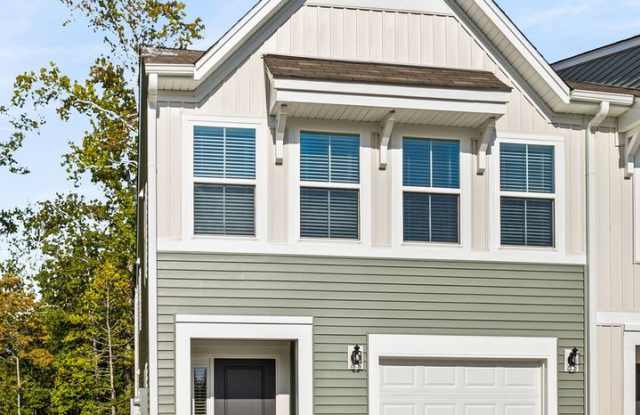 ONE YEAR YOUNG IN LEXINGTON'S MURRAY VILLAGE - 437 Pepperbush Lane, Lexington County, SC 29072