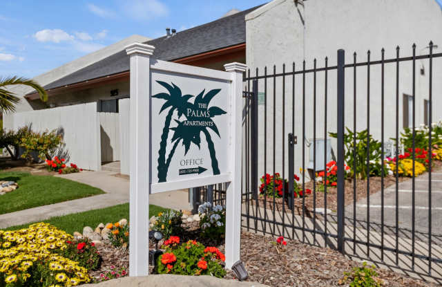 Palms photos photos