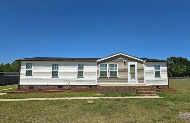 Now available for rent in the desirable Stedman area! photos photos