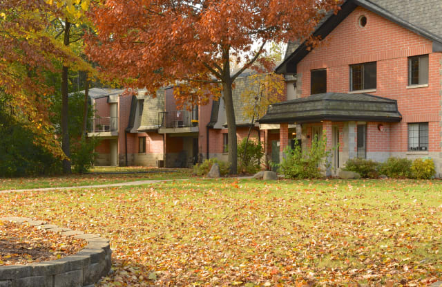 Pinewood Creek Gallery 4