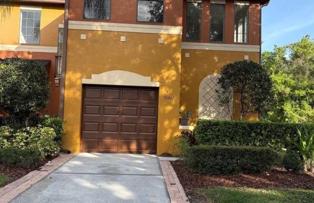 30042 MOSSBANK DRIVE - 30042 Mossbank Drive, Wesley Chapel, FL 33543