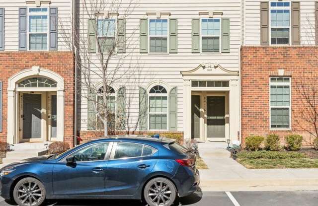 42116 PIEBALD Square photos photos