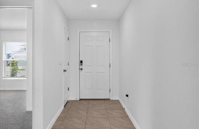 3084 LIVING CORAL Street Gallery 3