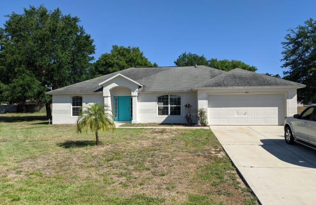 401 Delphine Ct - 401 Delphine Court, Leesburg, FL 34748
