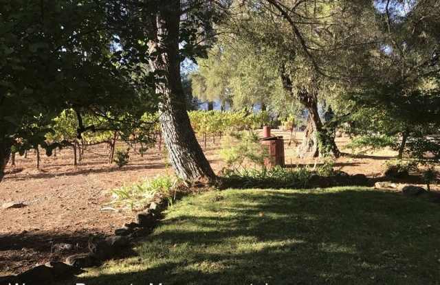 3050 St. Helena Highway Gallery 3