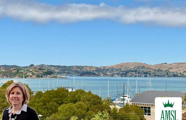 New 2bed/1bath View Flat in Sausalito photos photos