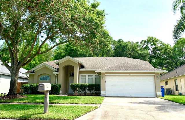 13513 IRONTON DRIVE - 13513 Ironton Drive, Westchase, FL 33626
