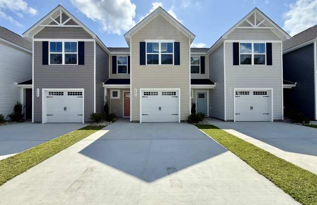 262 Christiana Ln Unit C - 262 Christiana Lane, Horry County, SC 29579