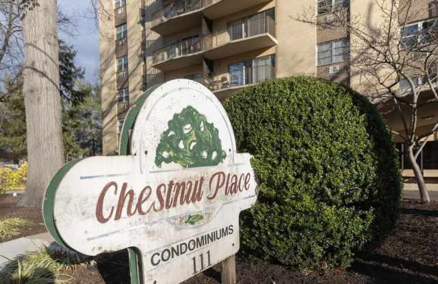 111 CHESTNUT PLACE - 111 Chestnut Street, Cherry Hill Mall, NJ 08002