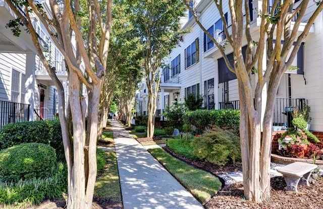 4427 Lydias Drive Gallery 2