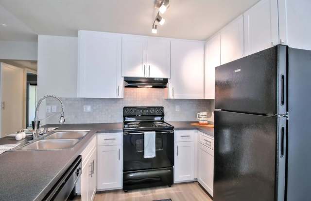 Larkspur photos photos