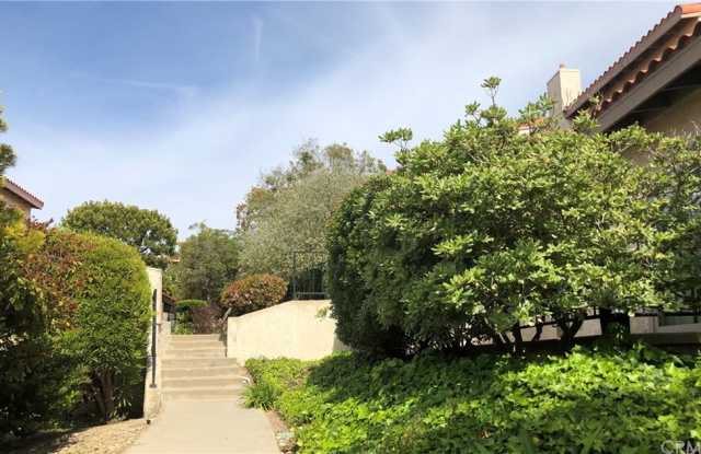 28305 Ridgefalls Court Gallery 3