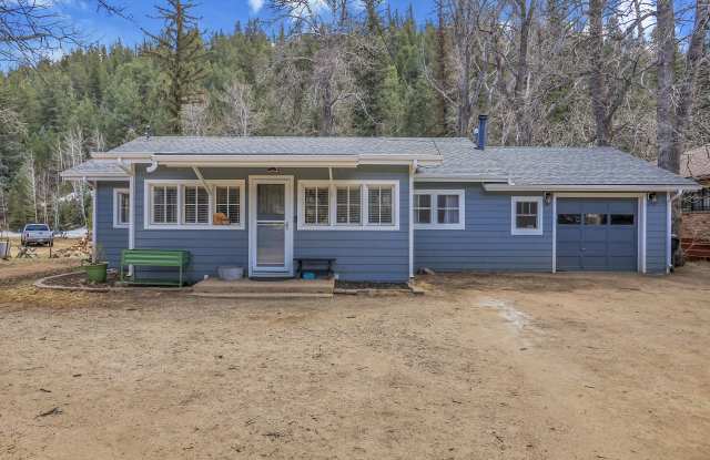 36 River Drive - 36 River Drive, Park County, CO 80421