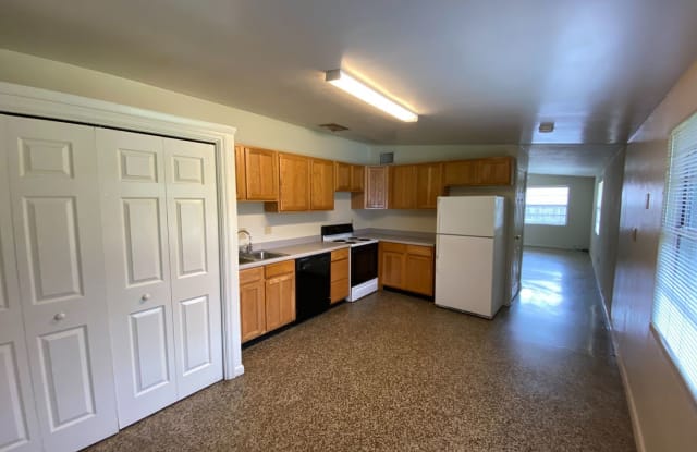 2709 E. Pine Street - 2709 Pine Street, Orlando, FL 32803