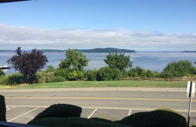 Steilacoom 1 bedroom with a view of the - 1614 Commercial Street, Steilacoom, WA 98388