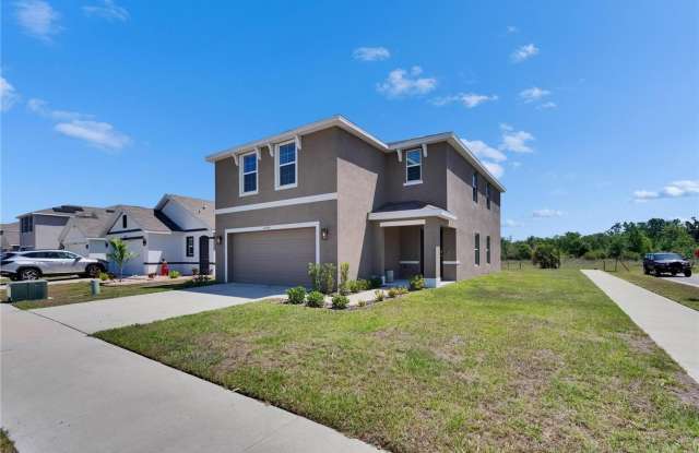 Large 4/2.5 home in Wimauma photos photos