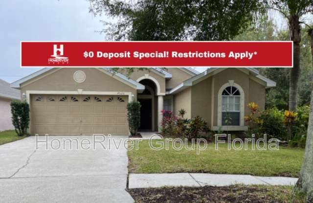 4520 Perdita Ln - 4520 Perdita Lane, Keystone, FL 33558