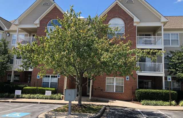 6101 Springwater Pl Apt 1304 Gallery 1