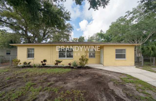 7717 Downing Circle - 7717 Downing Circle, East Lake-Orient Park, FL 33610