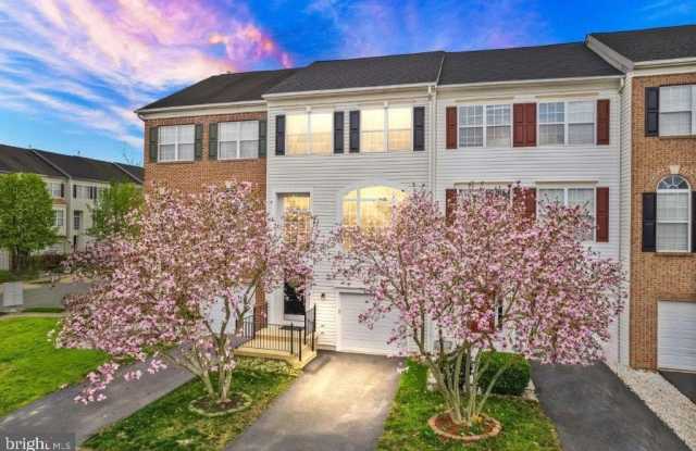 10136 PALE ROSE LOOP photos photos