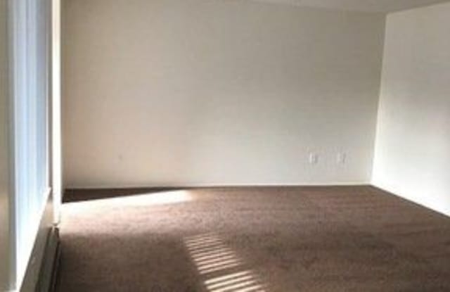Maywood Terrace Gallery 4