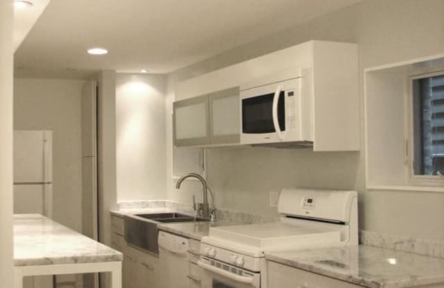 227 W Eugenie St G - 227 W Eugenie St, Chicago, IL 60614