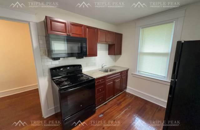 221 Lafayette Avenue - B Gallery 3