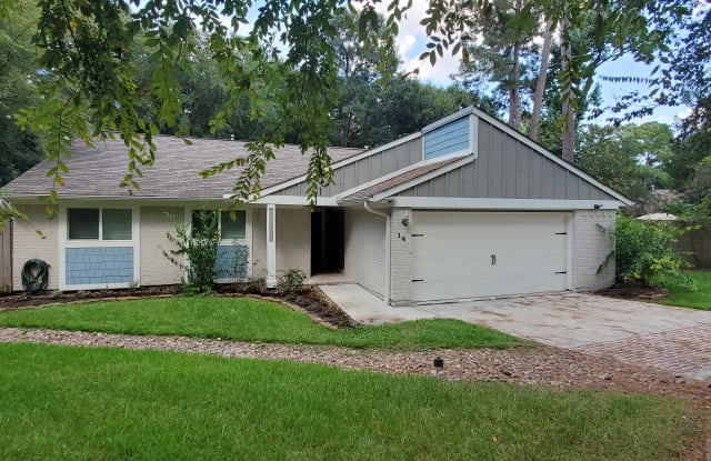 14 Woodlot Court - 14 Woodlot Court, The Woodlands, TX 77380