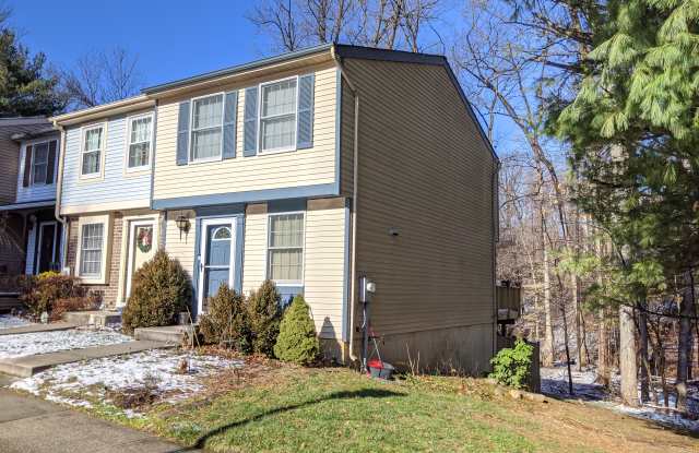 13919 Palmer House Way - 13919 Palmer House Way, Fairland, MD 20866