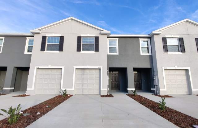 1640 Colt Creek Place - 1640 Colt Creek Place, Wesley Chapel, FL 33543