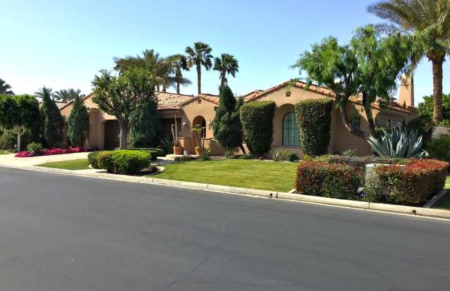 78870 Citrus photos photos