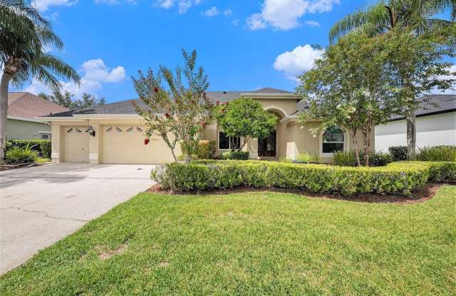 11918 KEATING DRIVE - 11918 Keating Drive, Westchase, FL 33626