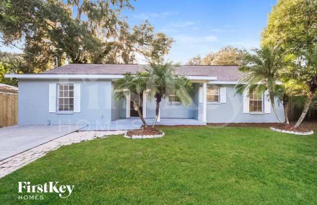 5322 Plum Avenue - 5322 Plum Avenue, Mango, FL 33584