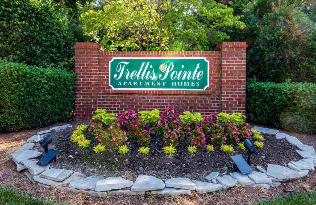 Trellis Pointe Gallery 3