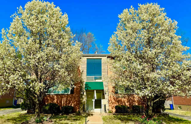 4244 Fatima Dr photos photos