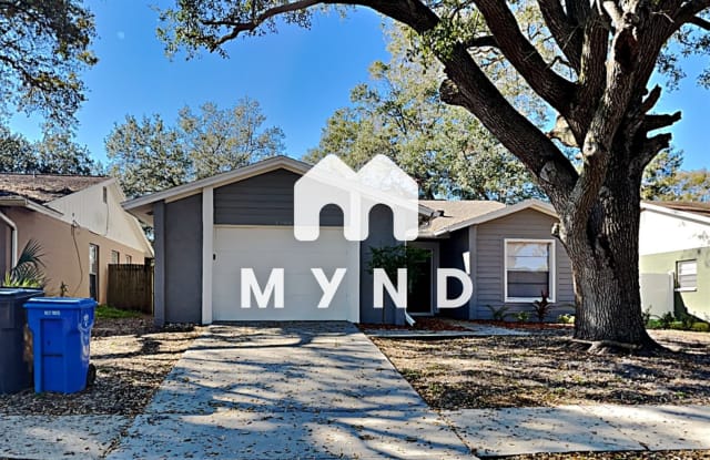 1790 Lakeview Village Dr - 1790 Lakeview Village Drive, Brandon, FL 33510