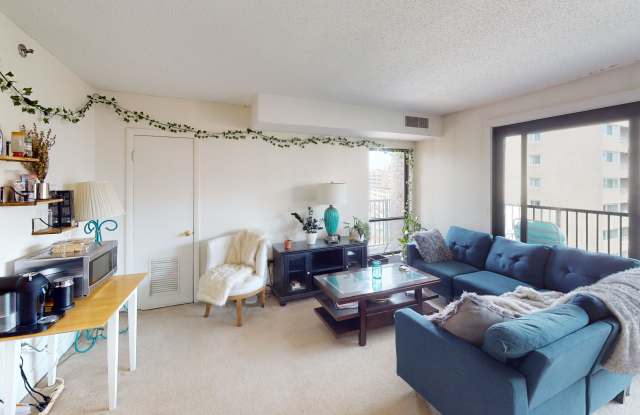 49 Marion St photos photos